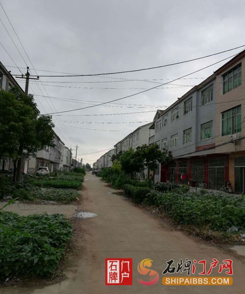石牌道路菜园子1.jpg