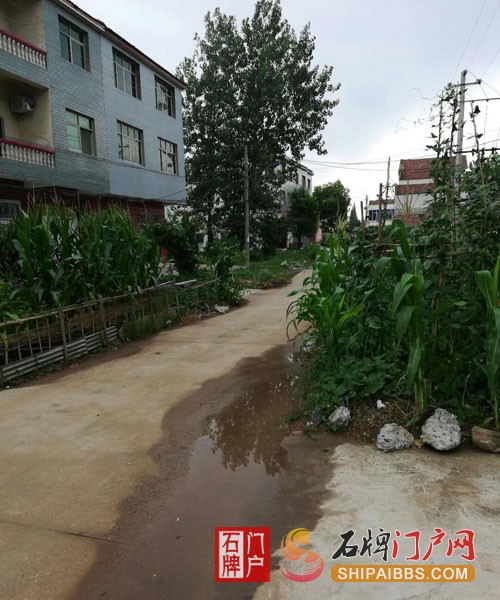 石牌道路菜园子2.jpg