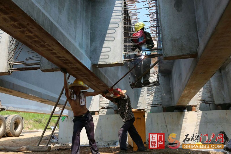 贺集大桥.jpg