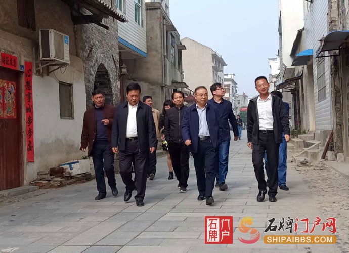 荆门市人大领导视察石牌古镇.jpg